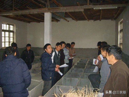 适合农村创业的项目一次性投资,农村创业项目排行榜小本生意投资