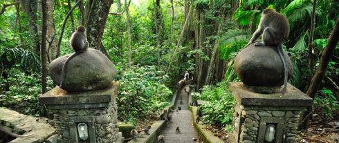 巴厘岛绝美之境,巴厘岛奇幻乐园