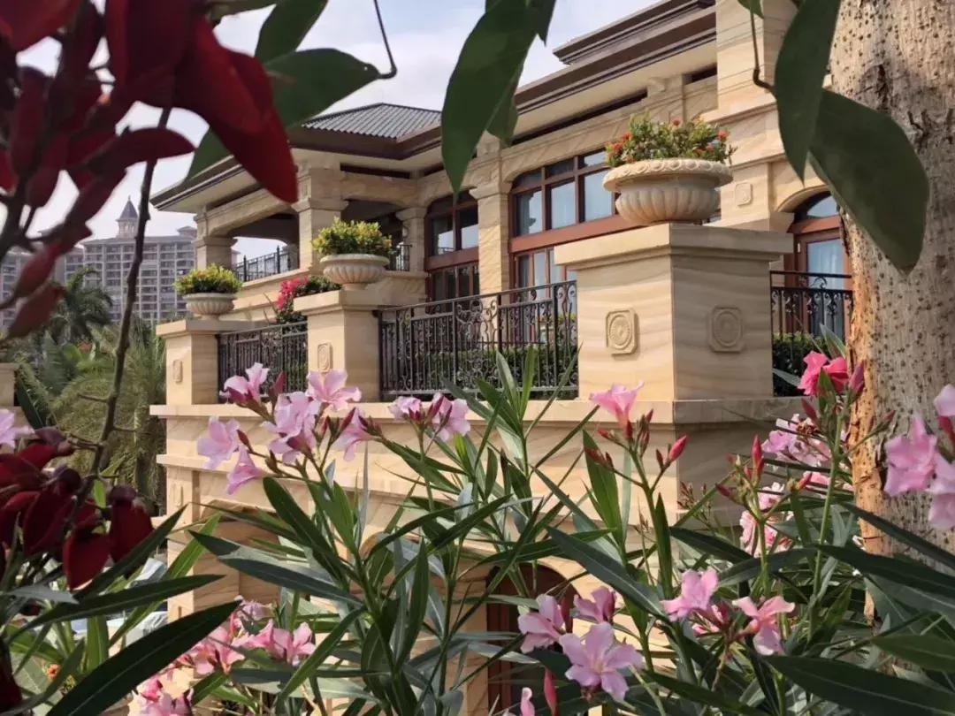 浜戞诞鐭虫潗浼佷笟鐜扮姸,浜戞诞闈掔爞宀╃煶鏉愬巶