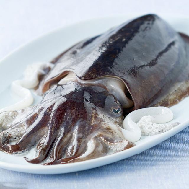 墨鱼乌贼章鱼鱿鱼到底有什么区别,怎么分清章鱼乌贼和鱿鱼