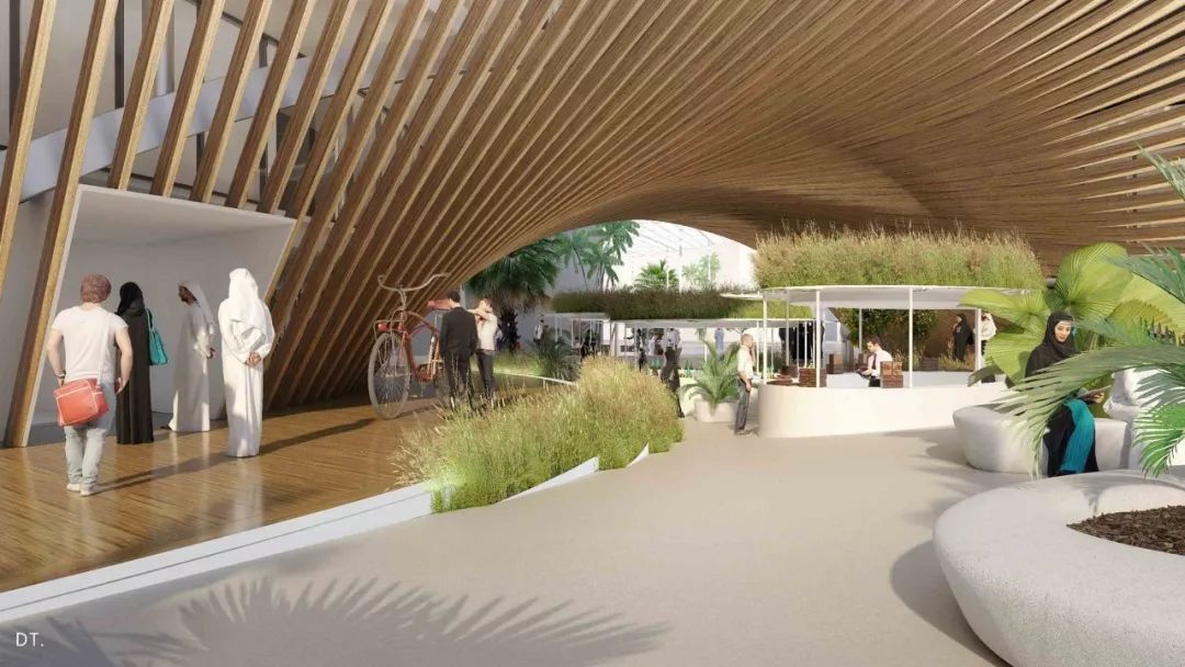 2020迪拜世博会，各国展馆“群魔乱舞”！大型综艺建筑师的夏天？