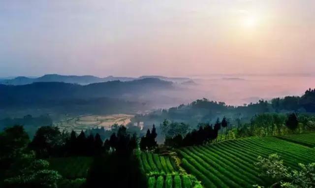 四川便宜又宜居的小城市,四川宜居的三四线小城