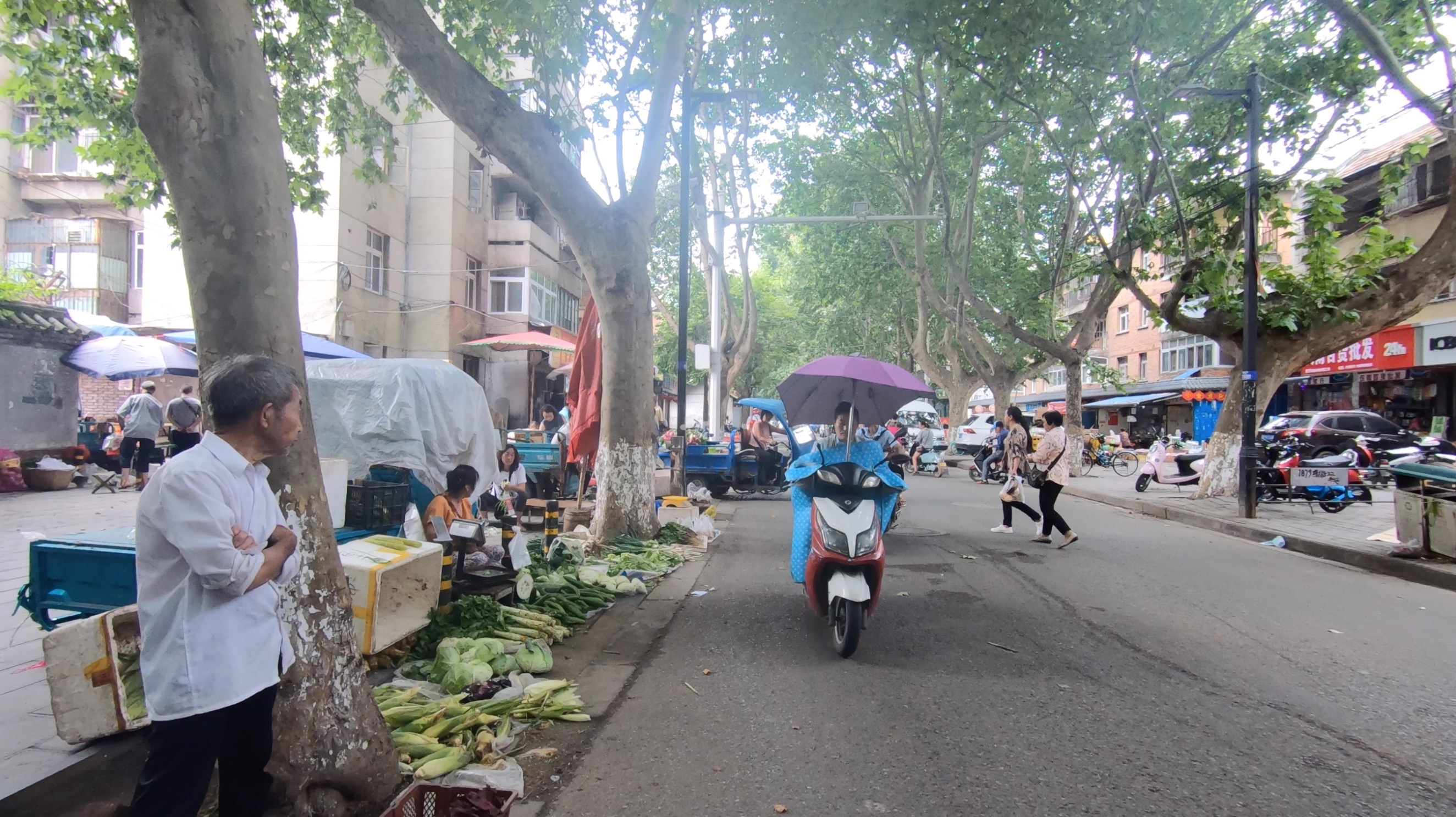 外地人来汉中的印象怎么样,外地人到汉中是什么感觉