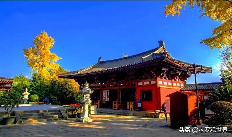 好工作丨皇泽寺博物馆招聘景区讲解员、志愿讲解员啦！