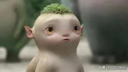 哭泣的鸟歌曲,黄莺悲伤