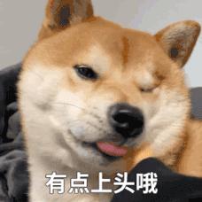 赋权型性教育是什么,我是从哪里来的育儿知识