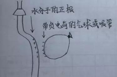延期开学在家怎么学习,孩子延期开学怎么度过的视频