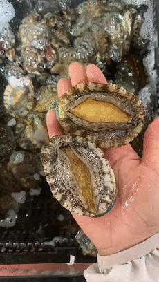 CBD里的Chloe、AmandaandKatharine,都在㳽到脑壳买农副产品