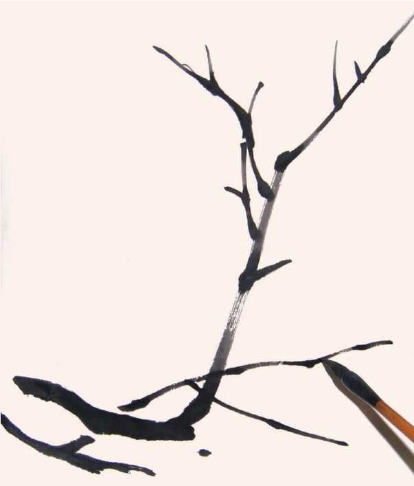 国画花枝穿插技巧图解,国画花枝的简单教程