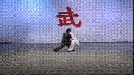 螳螂拳的实战杀法,最猛螳螂拳全套慢动作教学