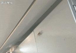 “喷射战士”华莱士不能老这么野了