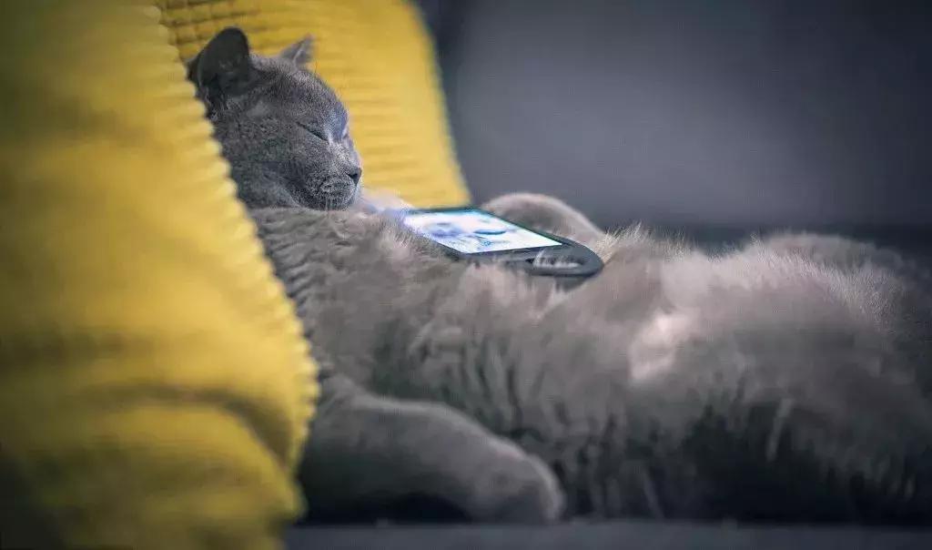 冬天最怕冷的六种器官,警惕身体8大器官