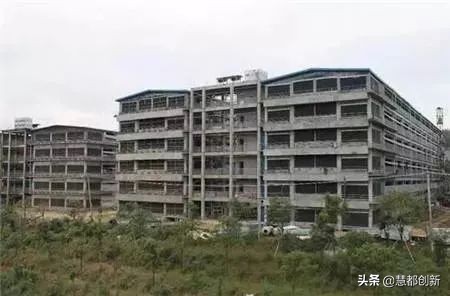 楼房养猪发展方向,楼房养猪最好的模式