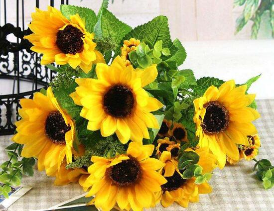 向日葵修剪盆栽,向日葵修剪水培