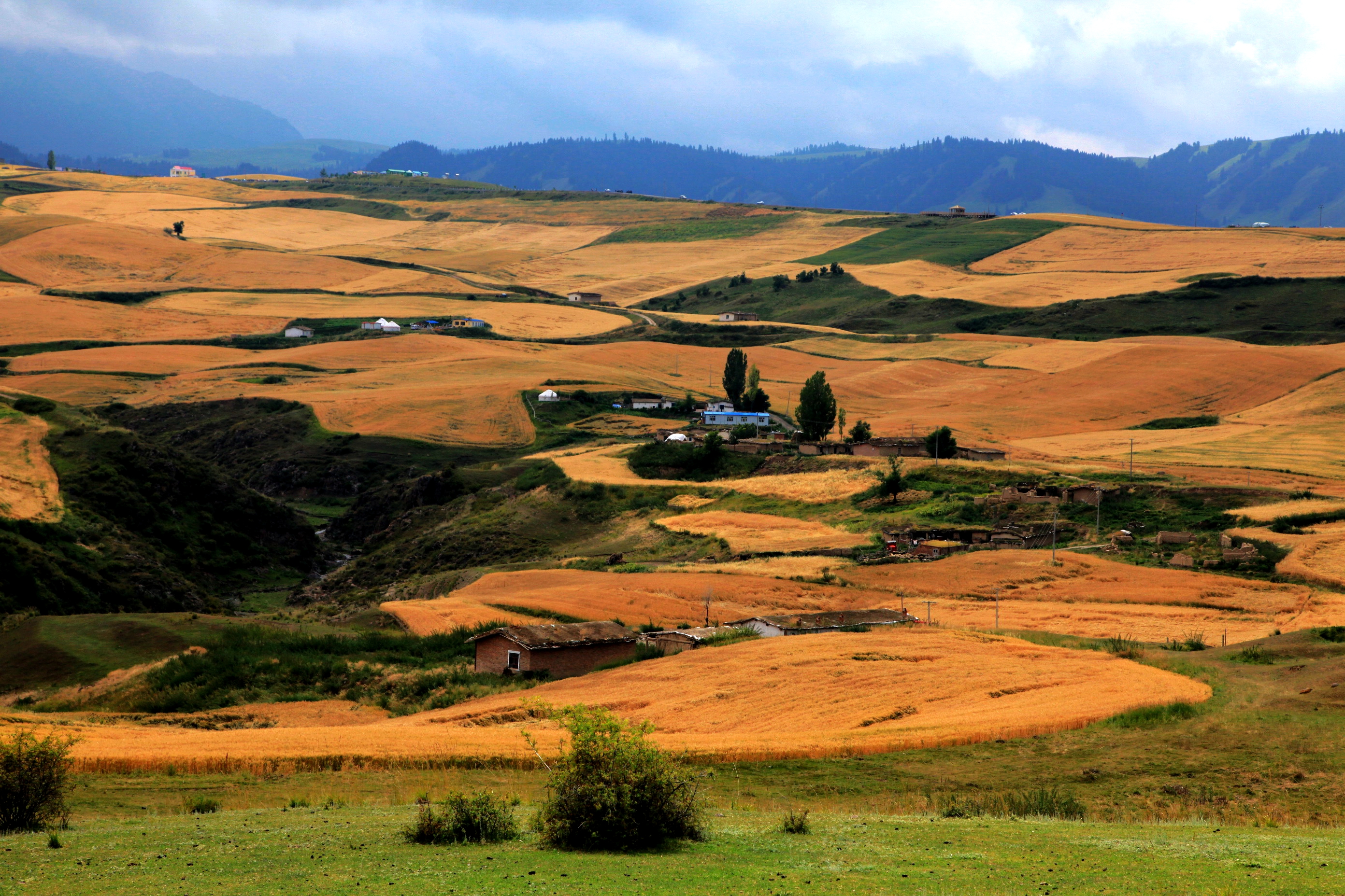 澶╁北楹︽捣,鏄熺┖涓嬬殑缁濈編绋荤敯姊甸珮
