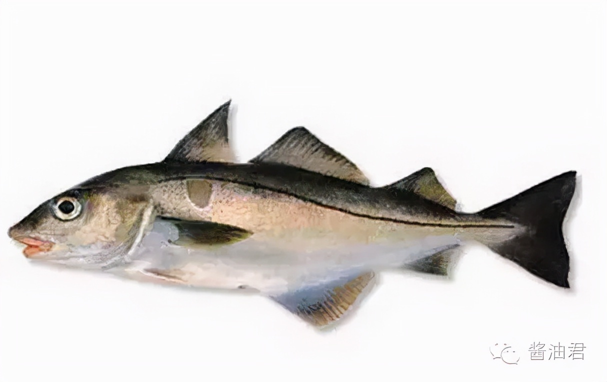 欧洲超市的鱼是活的吗,欧洲超市常见海鲜