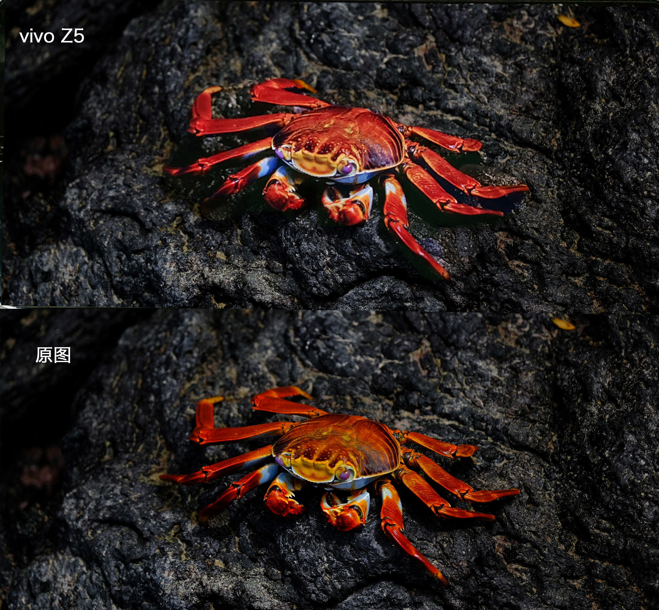 vivoz5手机值得入手吗,vivoz5现在还值得买吗