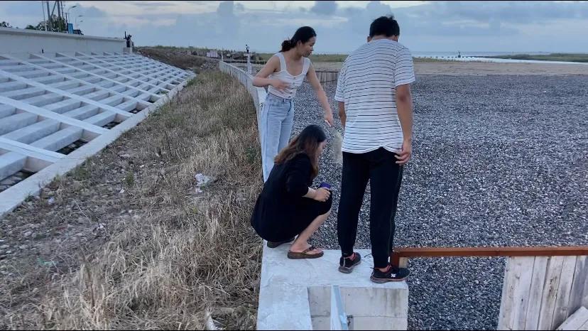 上海看美丽的大海,上海哪里有海滩看大海免费