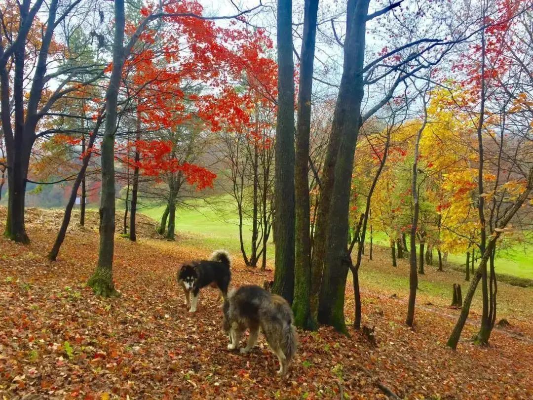 旅游景点畅玩团购,景点游玩优惠团购
