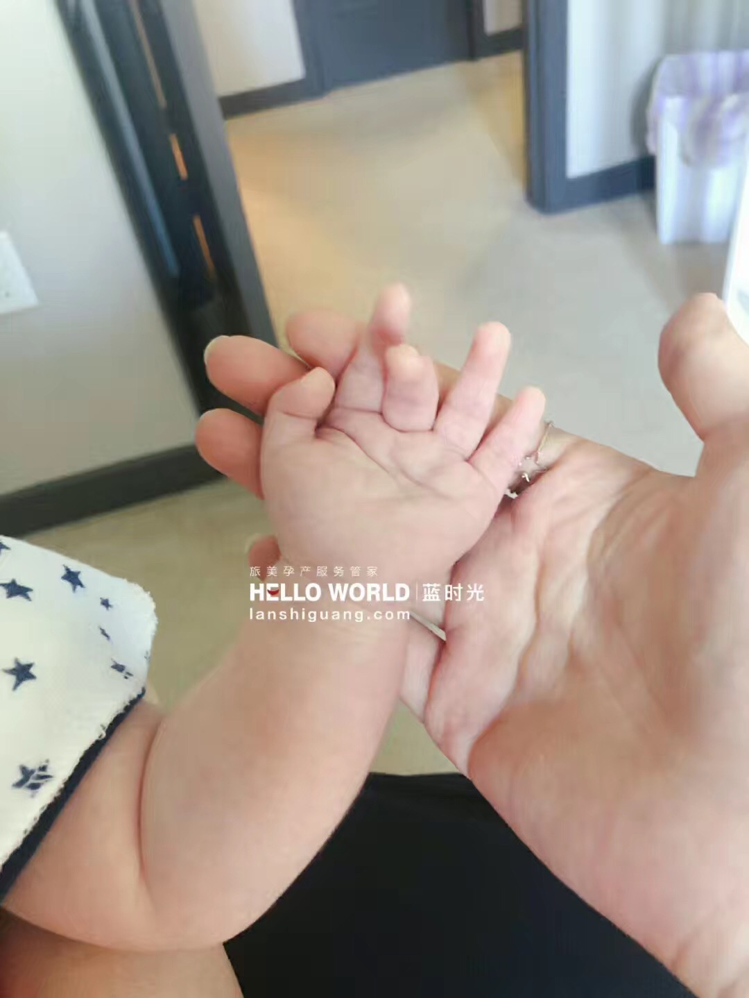 特朗普在加拿大建的公寓,特朗普赴美生子政策