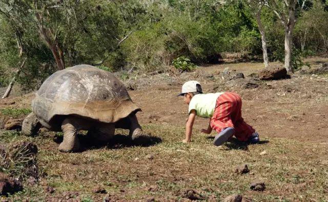 他叫辛巴，不是狮子王，8岁穿越12国：最好的教育，永远在路上