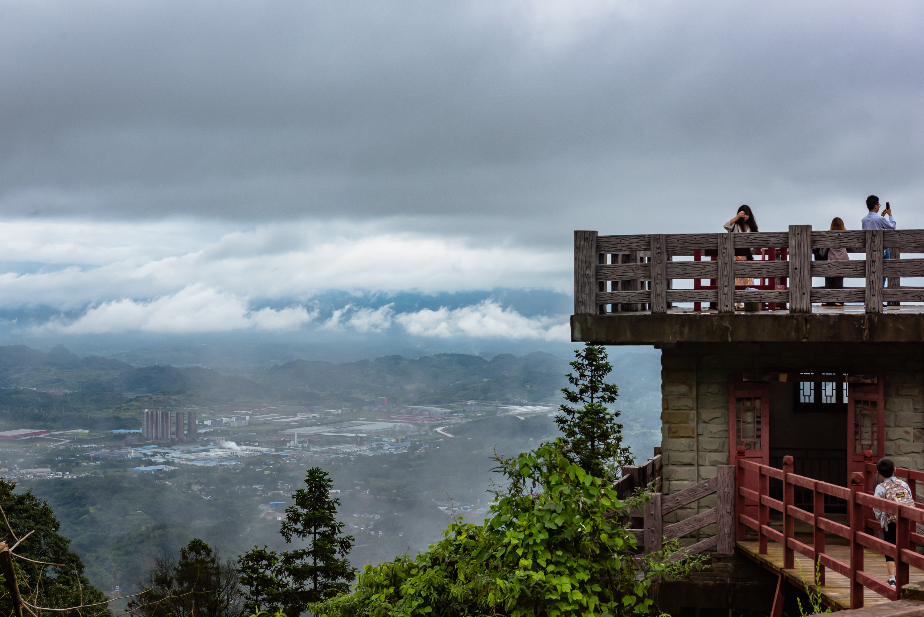 蒙顶山茶高山雀舌,蒙顶山茶叶有哪些