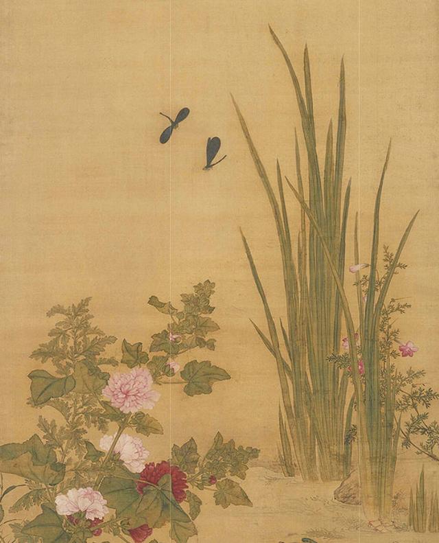 菖蒲水草需要多少k的灯,菖蒲水草泥