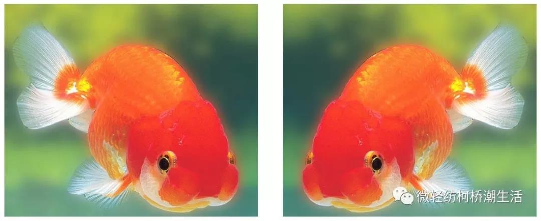 光影魔术手图片变清晰,光影魔术手美化人像