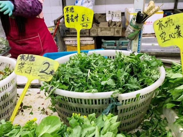 农村什么野菜好吃又清热,入冬了农村还有这种野菜可以吃