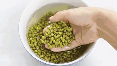 水培蔬菜家庭阳台种菜超简单,不用土在家种菜简单方法