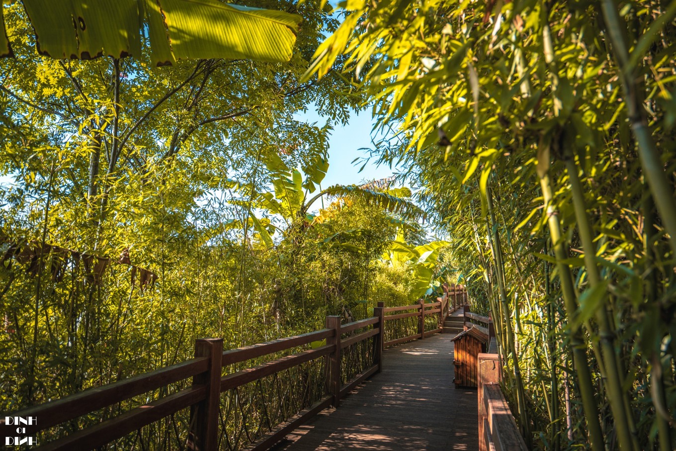 黄果树瀑布游玩攻略3天自由行,黄果树瀑布三个景点怎么走最合理