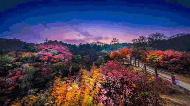 九如山什么季节去最好,秋游九如山旅游攻略