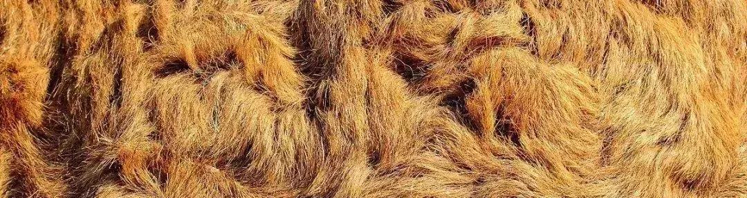 男装服装面料知识讲解,夏季男士服装面料小知识