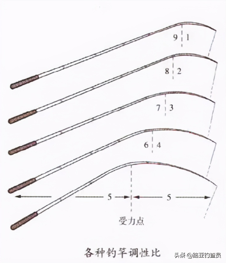 新手入门路亚如何选择钓竿,路亚竿怎么选择合适重量的饵
