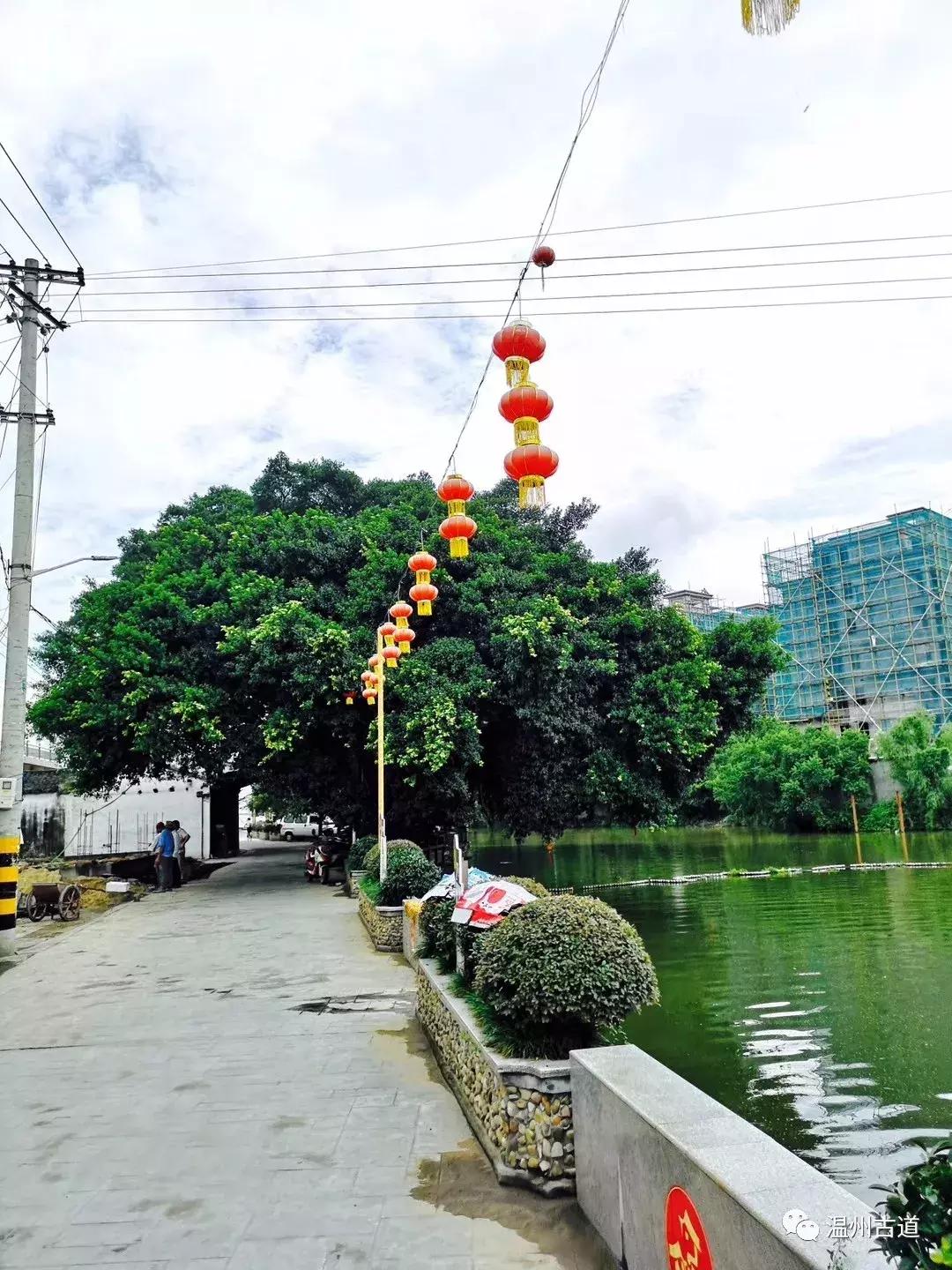 平阳鸣山古村落图片,千年古村平阳县鸣山村古城夜景