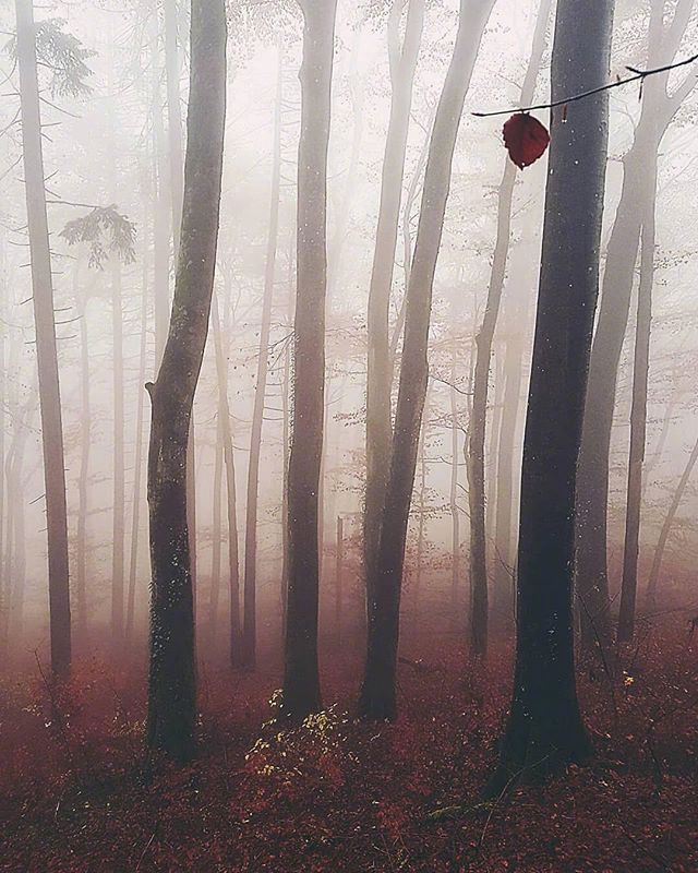 余生很长记得善良下一句怎么接,余生很长记得善良