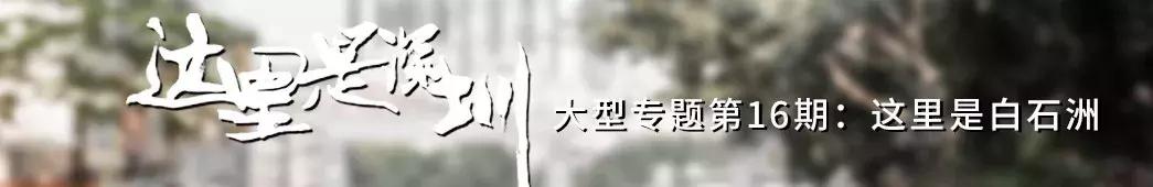 白石洲消失的原因,白石洲今日消息