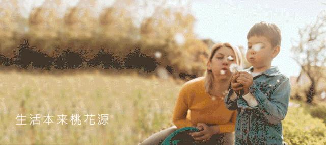 绿城桃花源的特点,绿城桃花源未来山