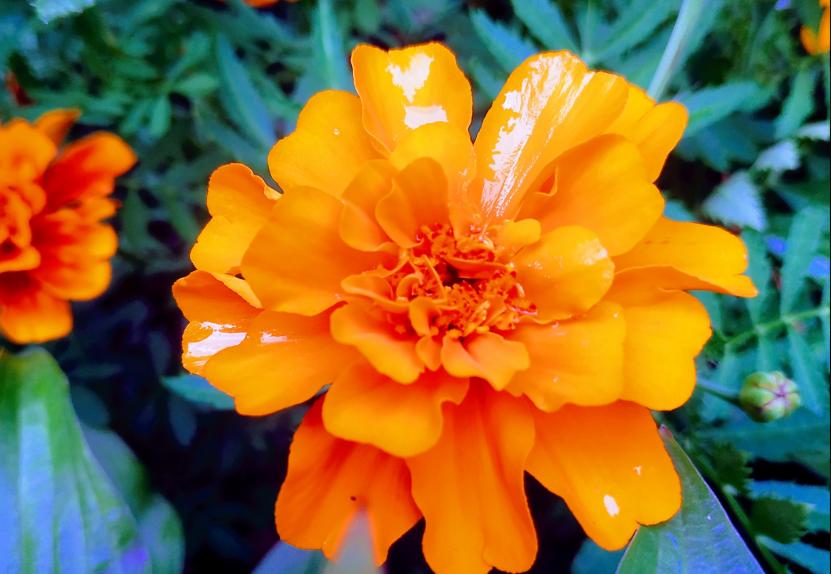 22年最流行色彩,2021春夏五大关键流行色彩