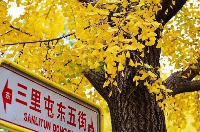 去北京不可错过的地方,不去热门景点游北京