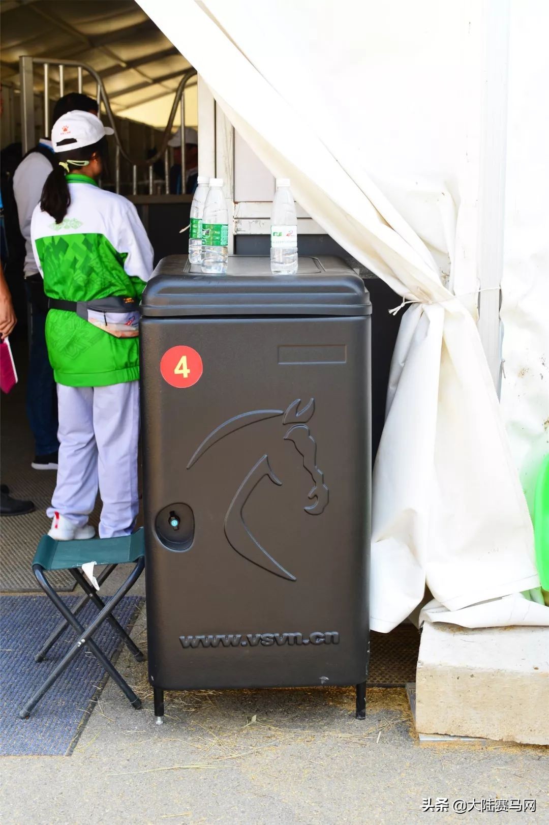 武汉军运会马术比赛,武汉军运会马术比赛是什么马