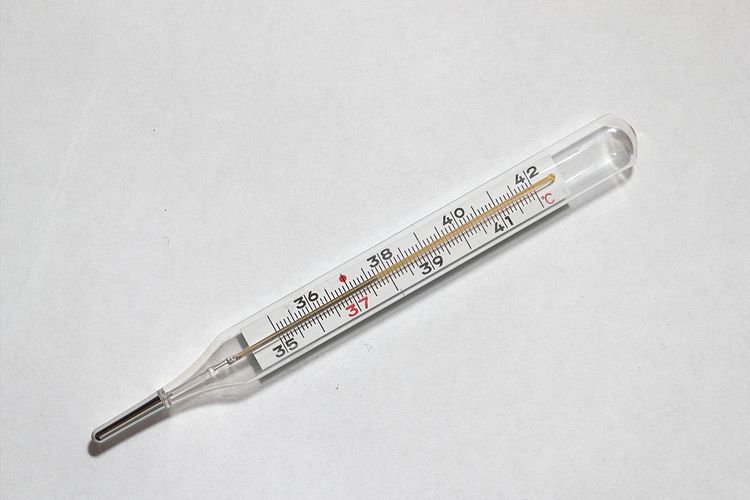 量体温水银碎了怎么办,量体温时温度计弄断了怎么处理