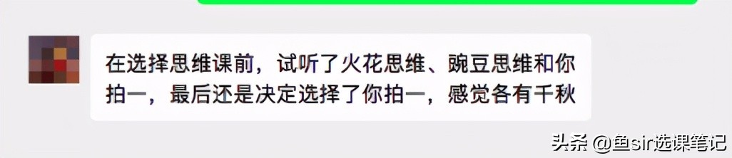 火花思维和豌豆思维评测,火花斑马豌豆思维ai课哪个好