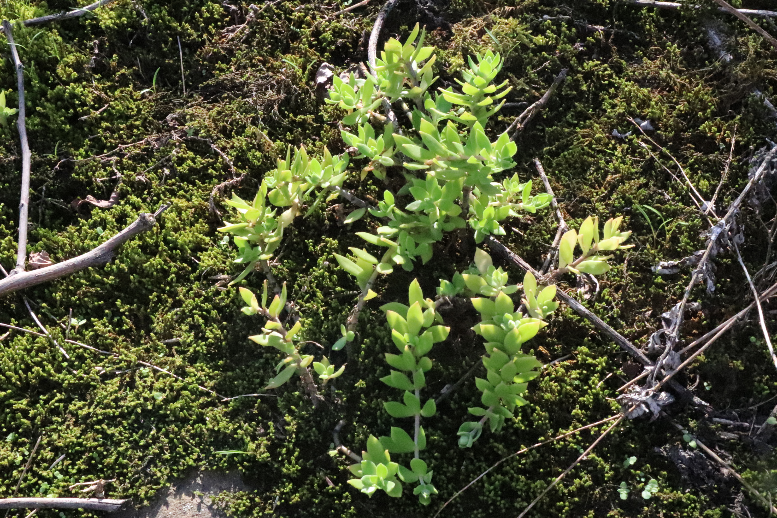 回到初次创业的地方感悟,回农村创业有什么出路