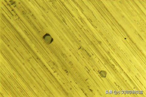 星光宝石是天上的星星,照亮黑夜;猫眼是人间的精灵,看透这世界