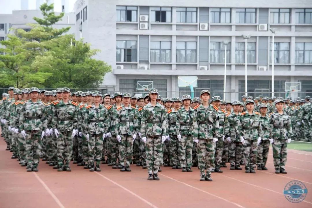 高职可以报考东莞职业技术学院吗,东莞职业技术学院专科学校