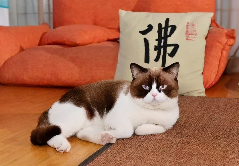 这结节没有任何征兆，突然就伴钙化了，妈妈总担心是癌怎么办？