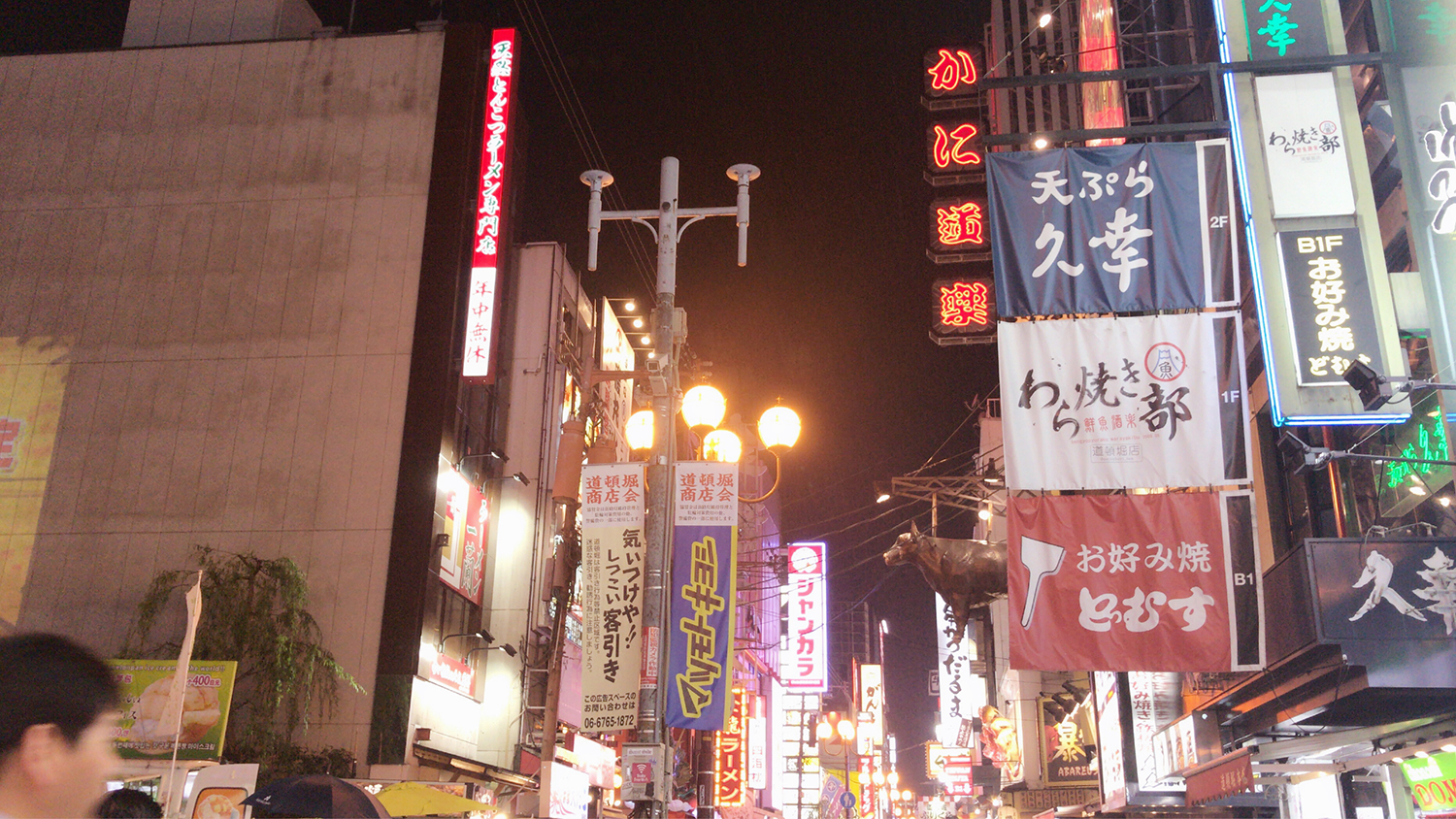 鏃ユ湰鐣欏SGU椤圭洰,鏃ユ湰澶уsgu鐢宠鑼冨洿