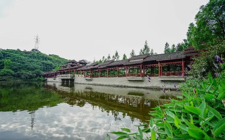 重庆55个景点免费游玩有哪些,重庆五一自驾游1天最佳路线