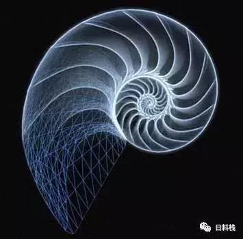 峨螺是什么,厚重峨螺